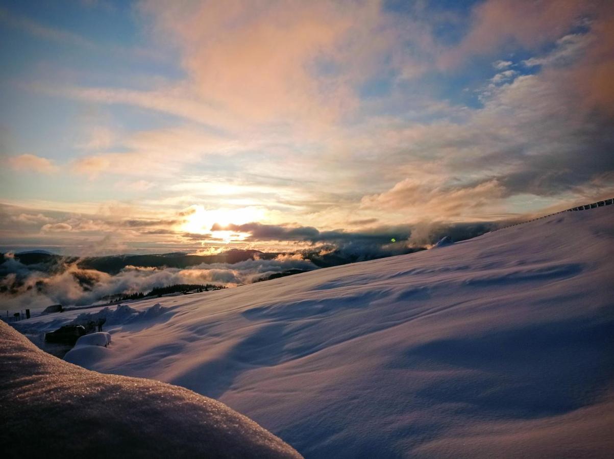 Cabana Transalpina 란카 외부 사진