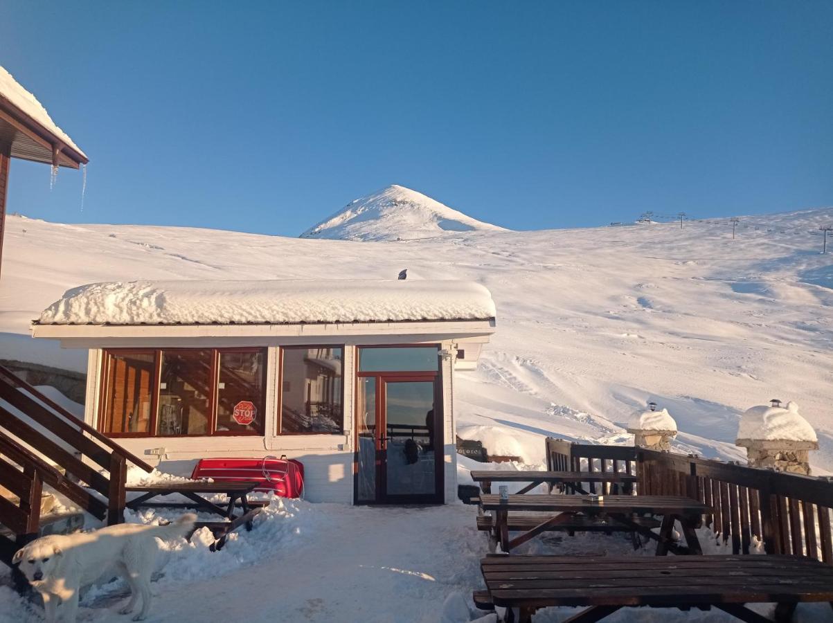 Cabana Transalpina 란카 외부 사진